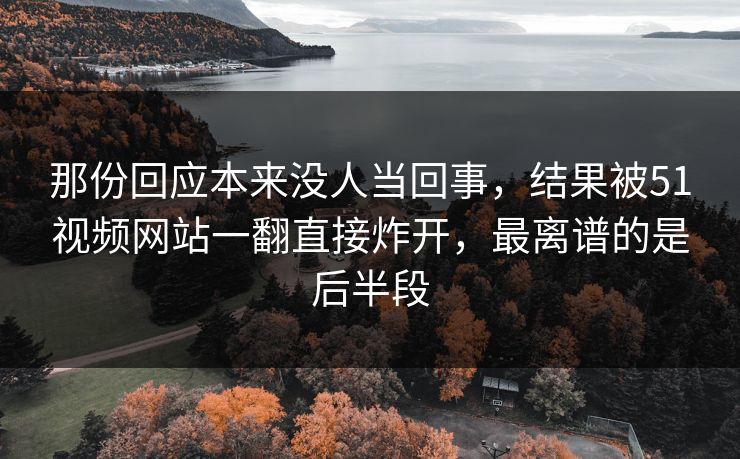 那份回应本来没人当回事，结果被51视频网站一翻直接炸开，最离谱的是后半段