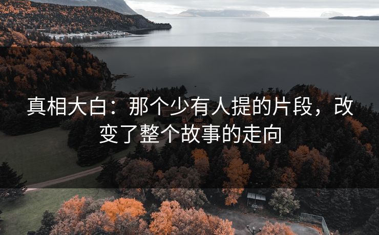 真相大白：那个少有人提的片段，改变了整个故事的走向