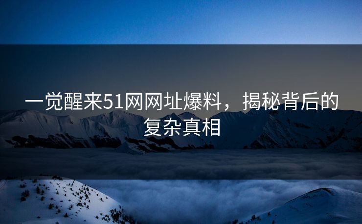 一觉醒来51网网址爆料，揭秘背后的复杂真相